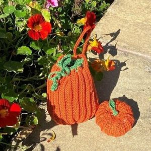 Halloween Treat Bag & Pumpkin Crochet Pattern